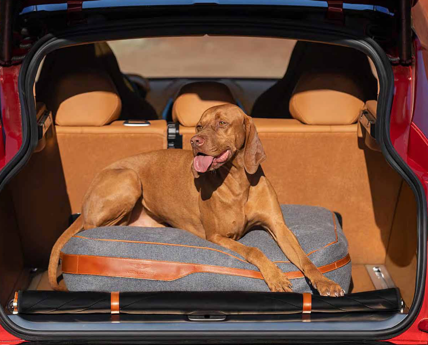 Aston Martin - DBX - Dog Bed